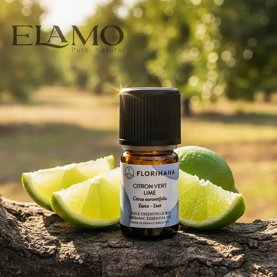 Butelka olejku limetkowego Florihana wśród świeżych limonek na plantacji cytrusowej