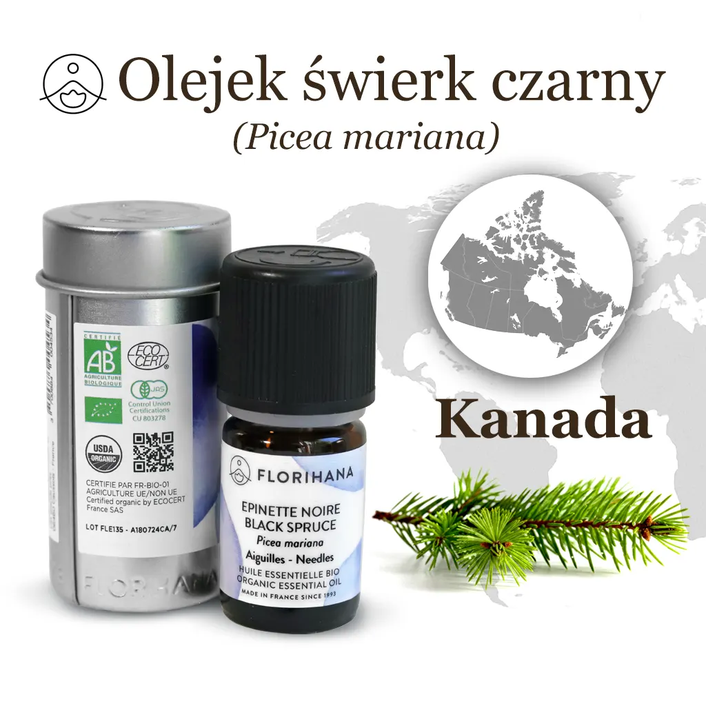 Olejek świerk czarny (Picea mariana) Florihana BIO – produkt 5 ml, pochodzenie Kanada, certyfikaty.