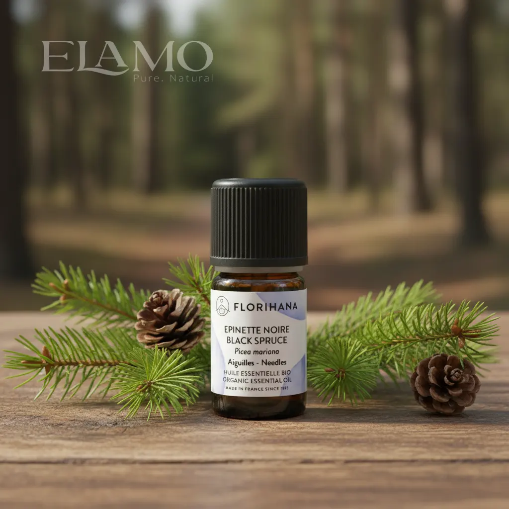 Olejek świerk czarny Florihana (Picea mariana) – butelka wśród igieł i szyszek, leśna sceneria.