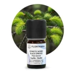 lejek świerk czarny Florihana (Picea mariana) – butelka 5 ml na tle igieł świerku
