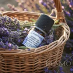 Olejek lawendowy Florihana w wiklinowym koszyku wypełnionym świeżo ściętą lawendą w słońcu