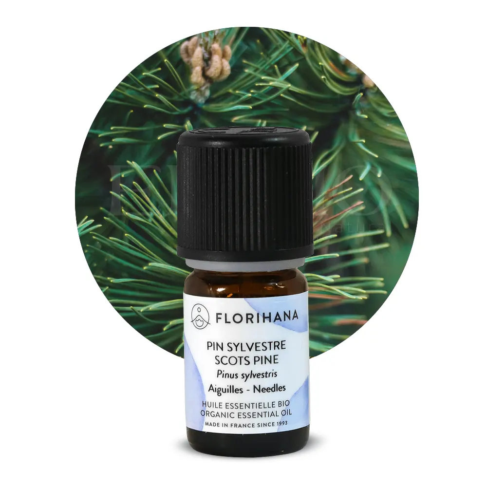 olejek sosnowy bio florihana pinus sylvestris packshot lesne tlo
