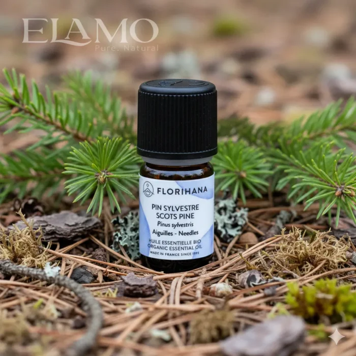 olejek sosnowy florihana na lesnej sciolce porosty i igliwie