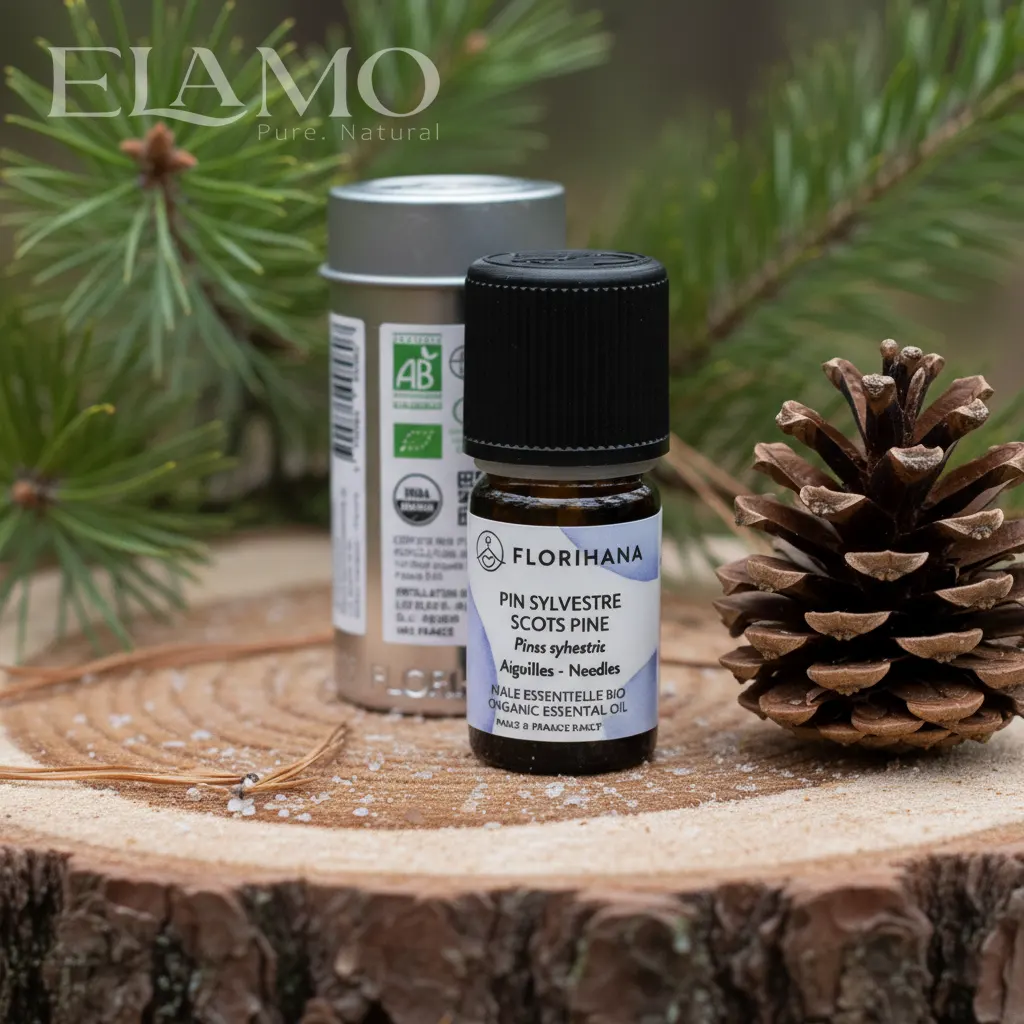 olejek sosnowy florihana pinus sylvestris na pniu szyszka i metalowe opakowanie