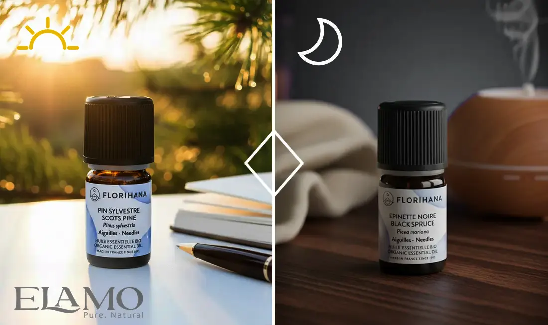 Olejek sosnowy i świerkowy Florihana – porównanie działania na dzień i noc