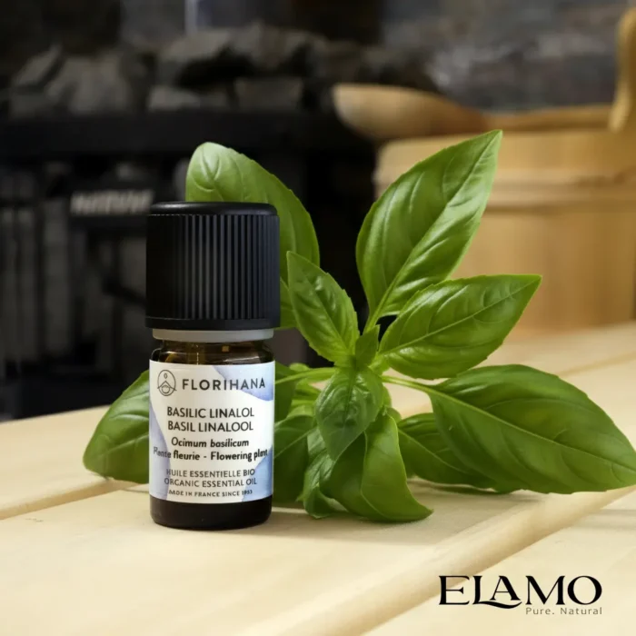 Olejek bazyliowy BIO Florihana — Ocimum basilicum (CT linalol), buteleczka 10 ml na tle świeżych liści bazylii w scenerii sauny