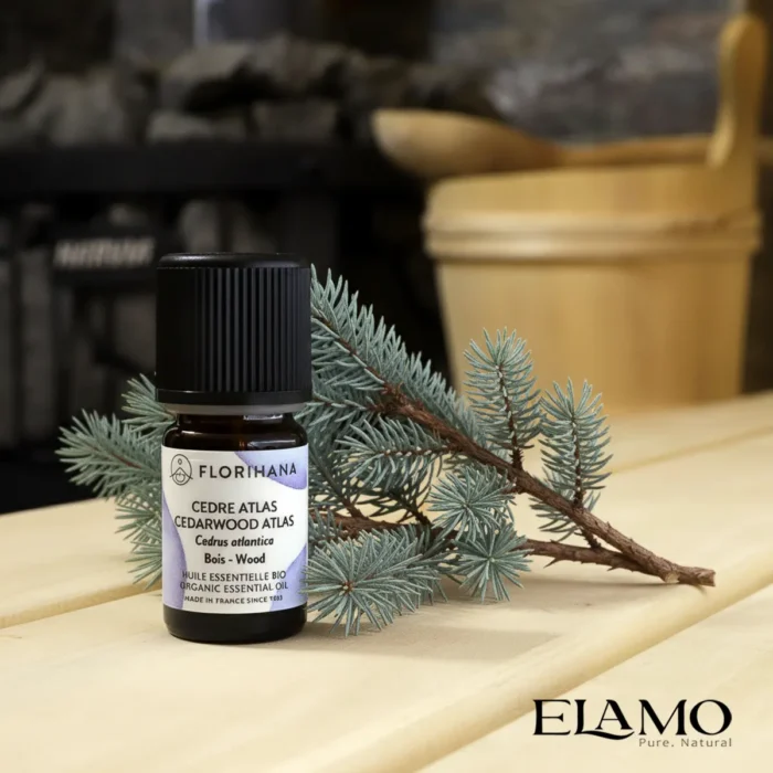 Olejek cedrowy Atlas BIO Florihana – Cedrus atlantica, flakon 10 ml na tle gałązki cedru i drewnianej ławki sauny