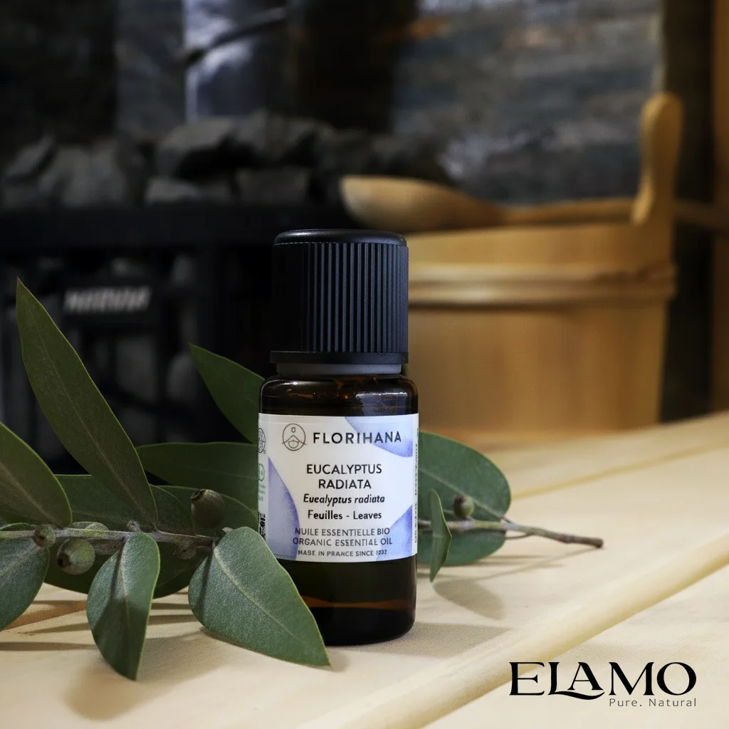 Olejek eteryczny Eucalyptus radiata (Florihana) na ławie sauny fińskiej, z gałązką eukaliptusa obok cebrzyk z wodą zapachową – naturalne olejki do sauny ELAMO