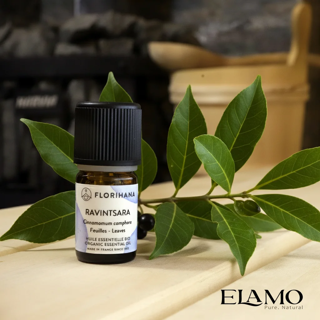 Olejek ravintsara (Cinnamomum camphora) Florihana na ławie sauny – łagodny aromat z 1,8-cyneolem; delikatniejsza alternatywa dla eukaliptusa, polecana do łaźni parowej i subtelnych inhalacji.